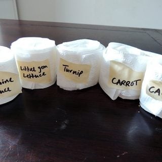 How to Make Seed Tape