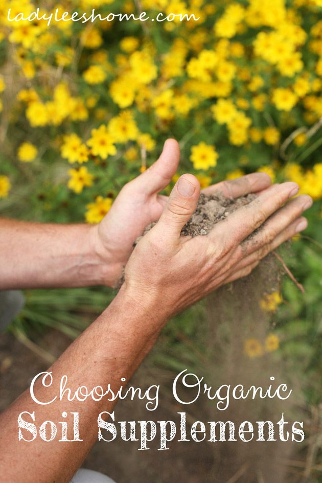 Choosing Organic Soil Supplements