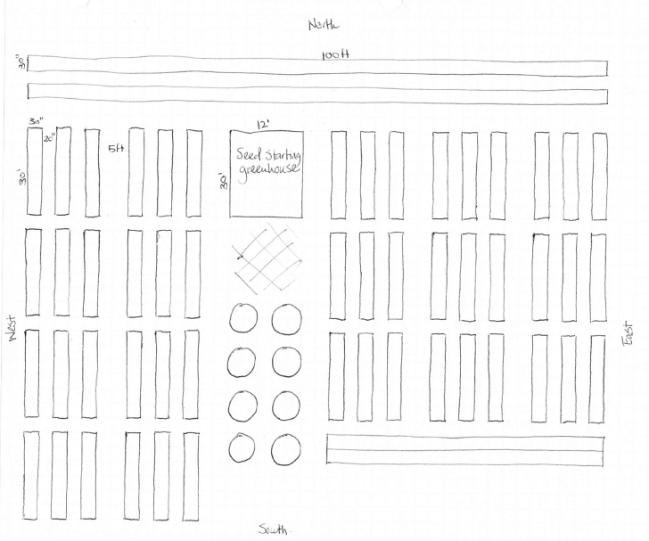 Drawing the garden on paper.