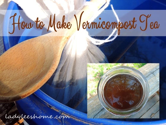 Haw to Make Vermicompost Tea