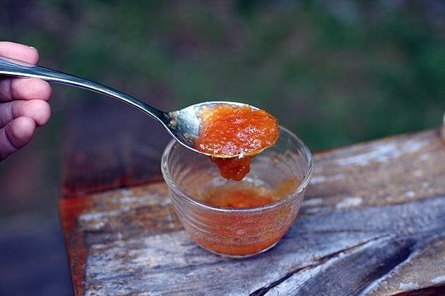 serving low sugar peach jam