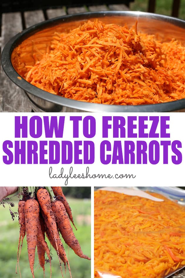 Simple way of shredding a carrot without using a food processor