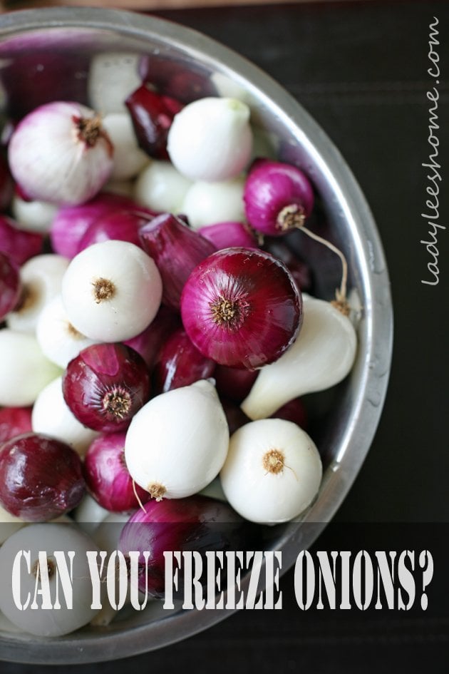 How to Freeze Onions - Brown Thumb Mama®