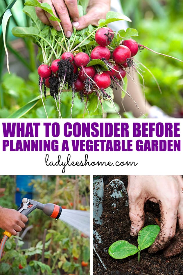 Let's go over 5 things that you should consider before diving into planning your vegetable garden. These are important garden tips that can save you a whole lot of work and frustration!