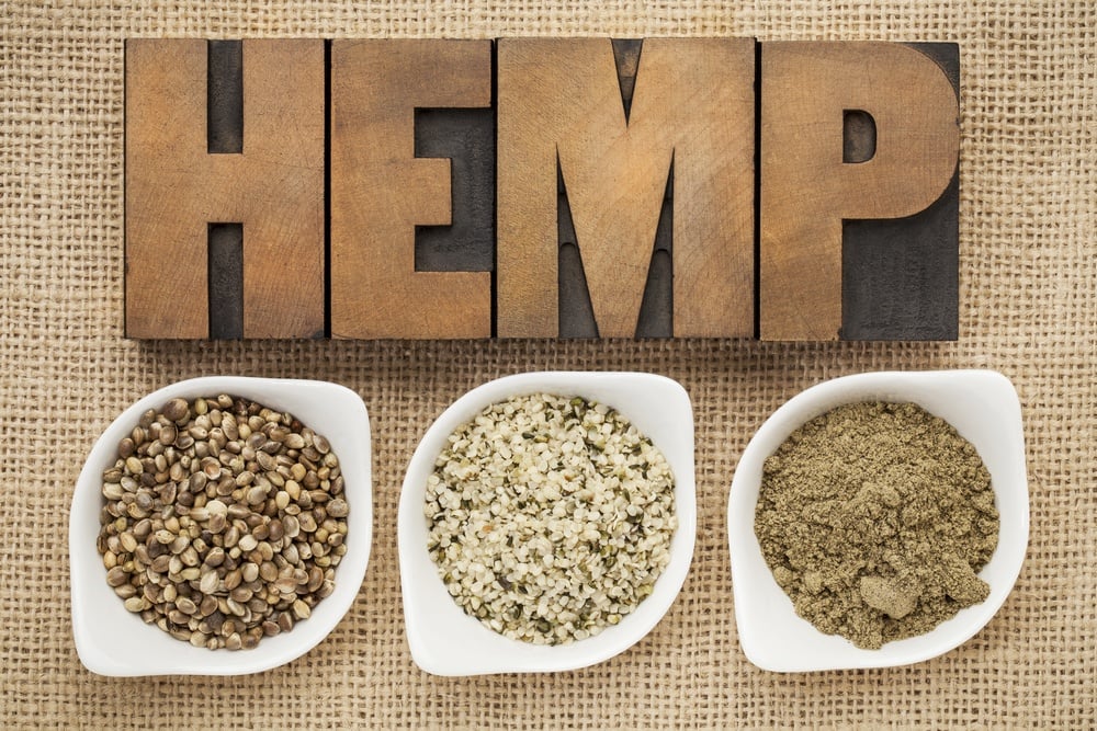 What is hemp seed and how to use it. Hemp comes from cannabis, but won't give you a high (sorry...), it's a super-food full of protein that is so easy to add to any diet! #LadyLee'sHome 