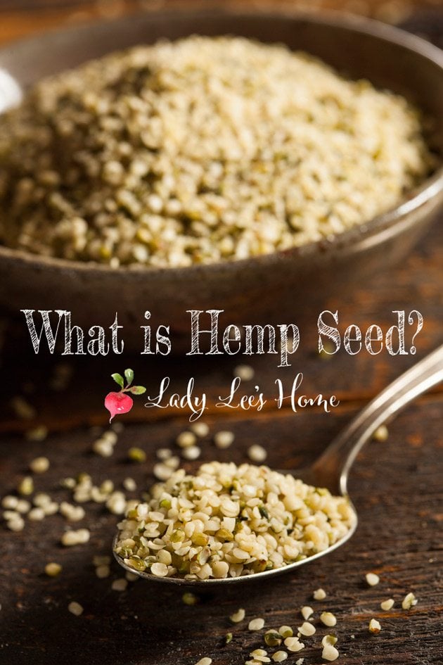 What is hemp seed and how to use it. Hemp comes from cannabis, but won't give you a high (sorry...), it's a super-food full of protein that is so easy to add to any diet! #LadyLee'sHome #hemp #healthyfood #hempseeds