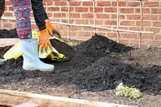 Adding compost to the garden bed.