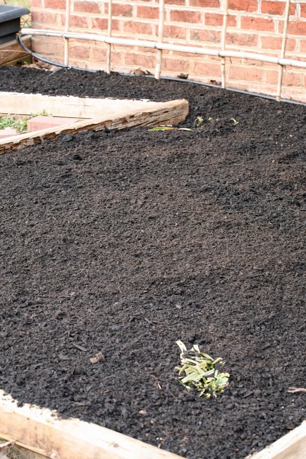 The bed after the compost and soil were spread.