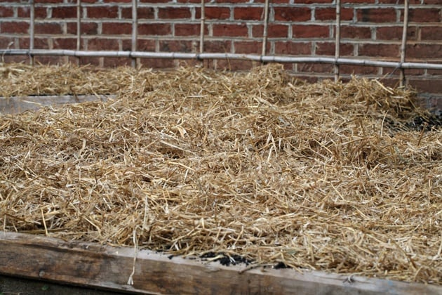 The bed after a layer of mulch.