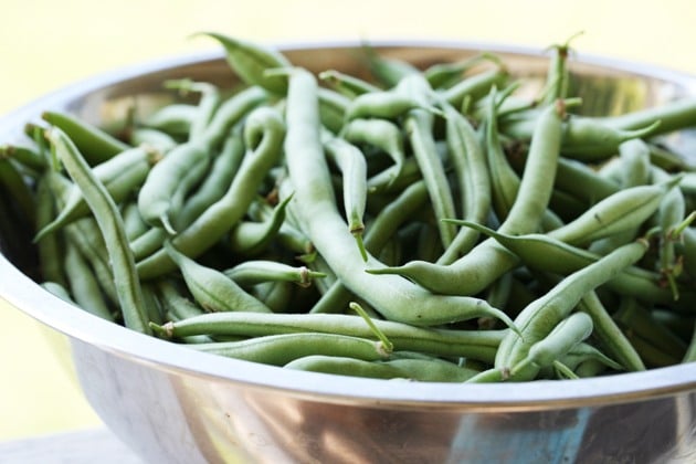 Freezing Green Beans From the Garden | Lady Lee's Home