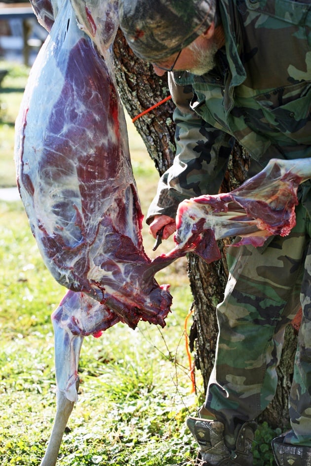 Removing the front leg of the deer. 