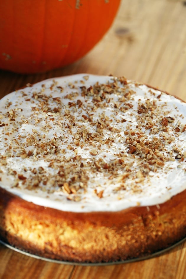 Pumpkin Cheesecake with Gingersnap Crust