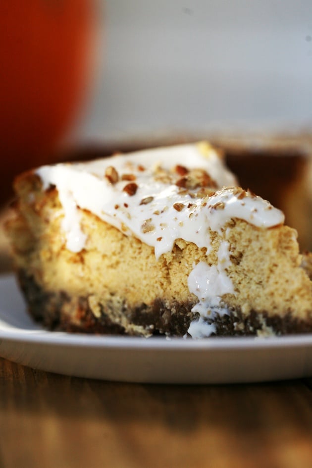 Pumpkin Cheesecake With Gingersnap Crust