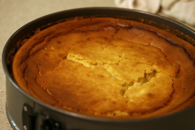 Pumpkin cheesecake with gingersnap crust is ready.