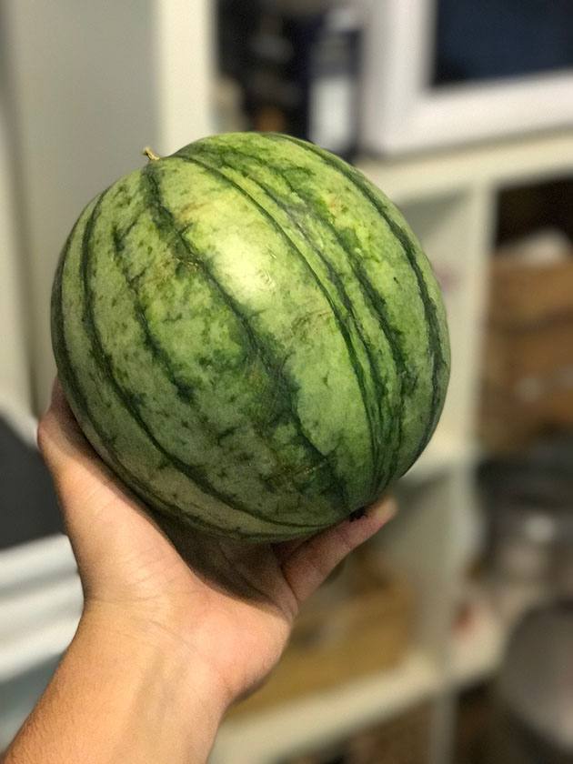 Small watermelon.