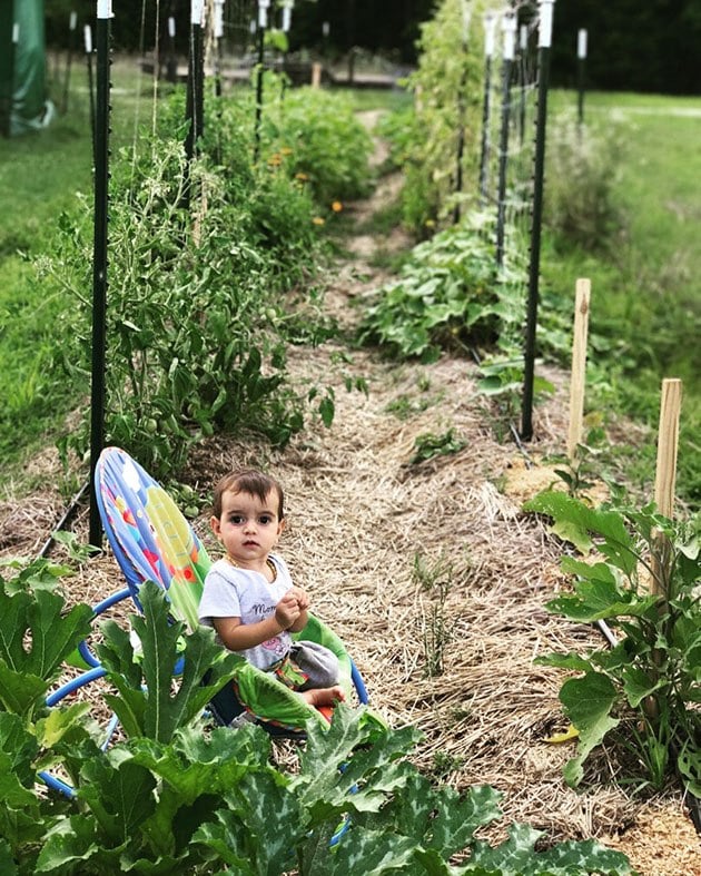 A baby in the garden.