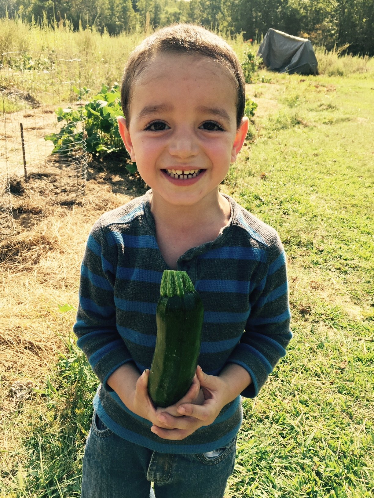 Benny is holding a zucchini.