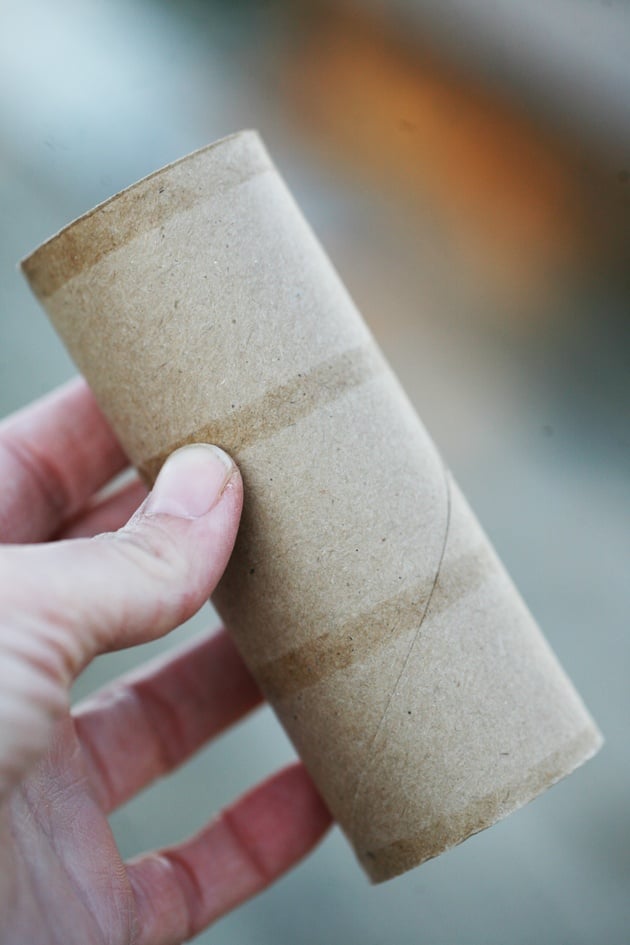Toilet paper roll. 
