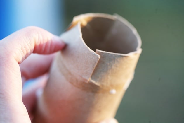 How to Make Toilet Paper Roll Seed Starter Pots - Lady Lee's Home