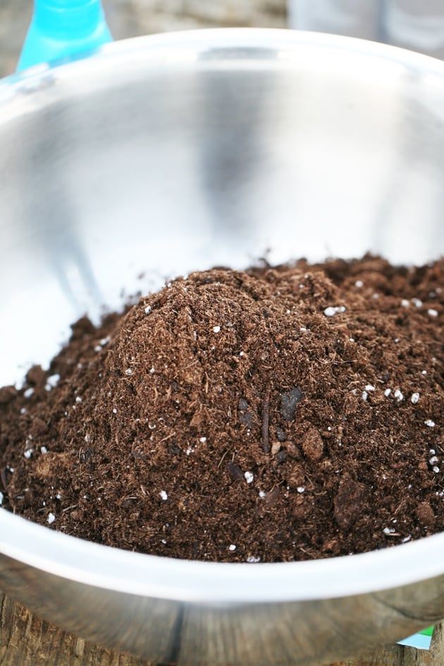 Seed starting soil. 