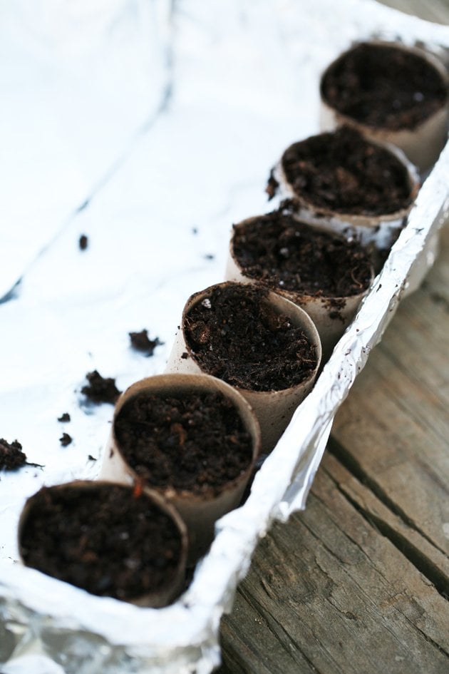 How to Use Empty Toilet Paper Rolls as Compostable Seed-Starters