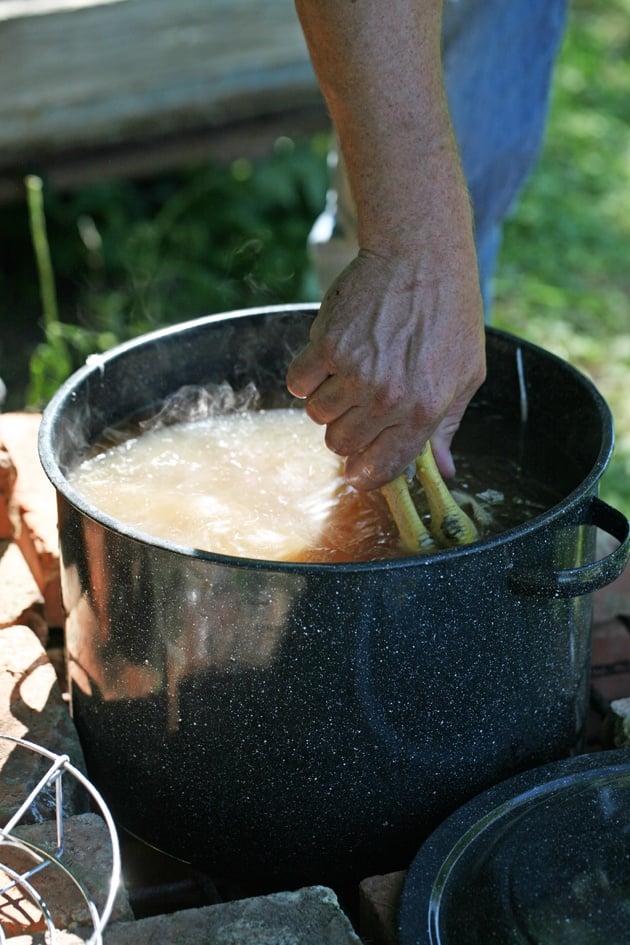 Dunking chicken in hot water