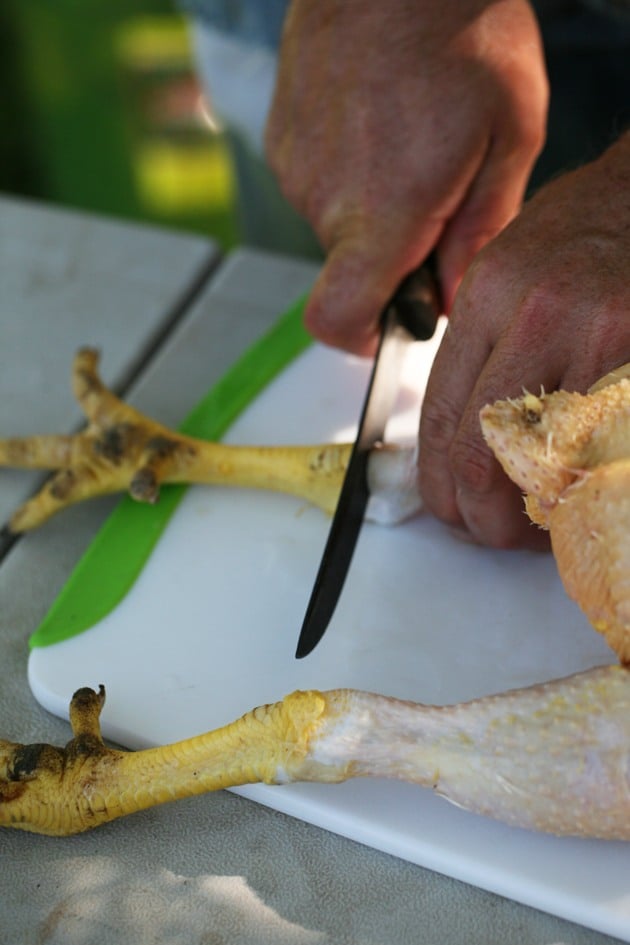 Cutting the feet off of the cornish cross chickens
