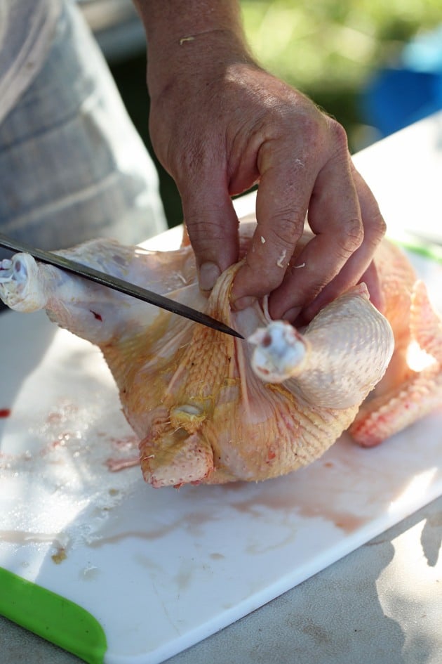 How to Butcher a Chicken