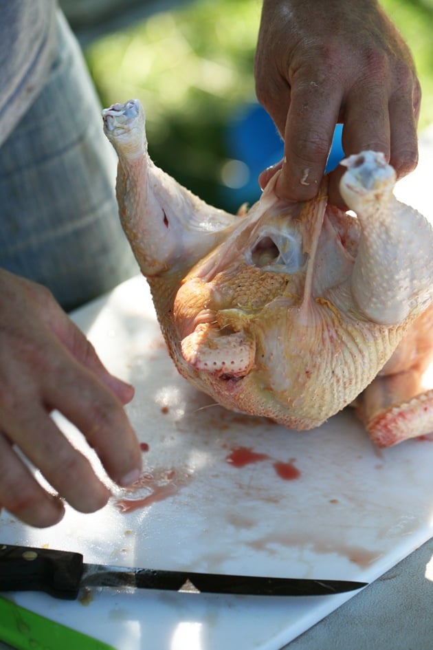 Making a little cut in the chicken skin