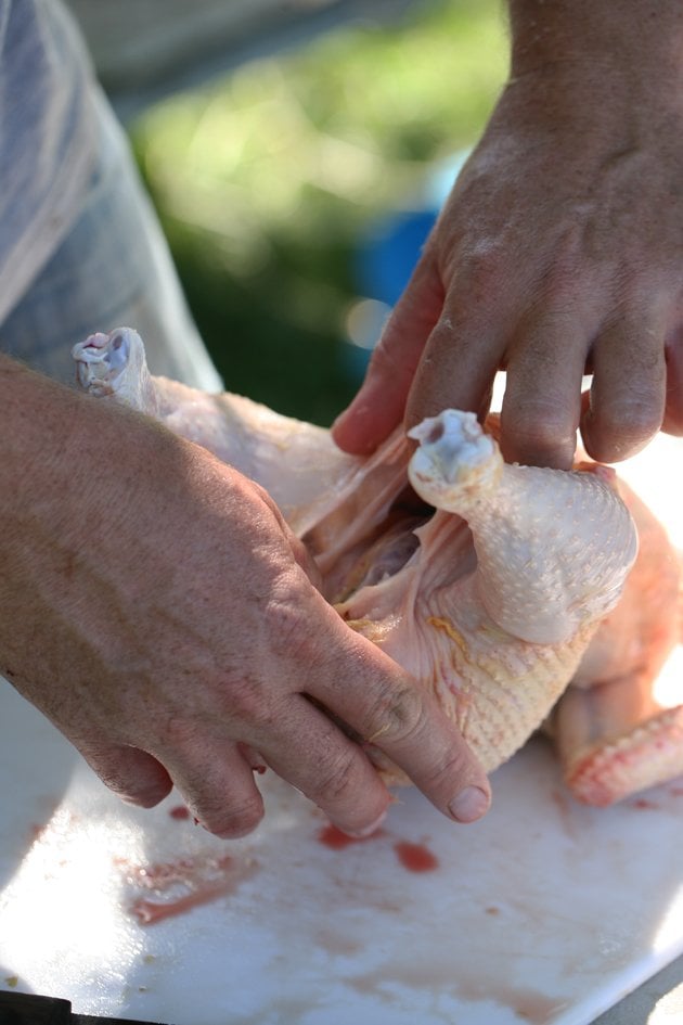 Opening the chicken