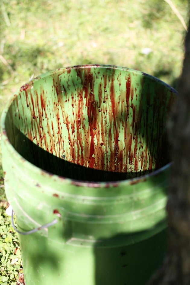 A bucket with blood