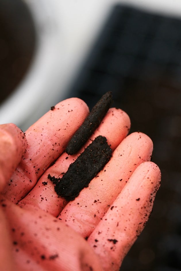 Removing large pieces of wood from the seed starting soil.