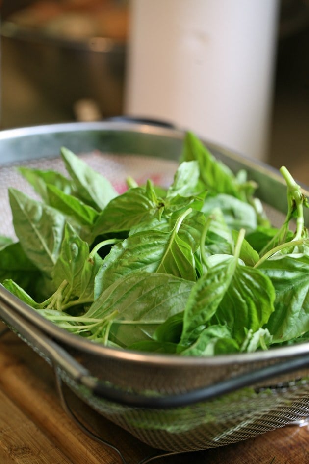 Clean basil leaves