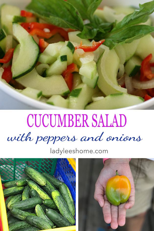 A simple cucumber salad with sweet peppers and onions. A delicious summer salad that goes so good with any meal. #cucubmersalad ##saladrecipes #sidedishes #easyrecipes #peppers #cucumbers 