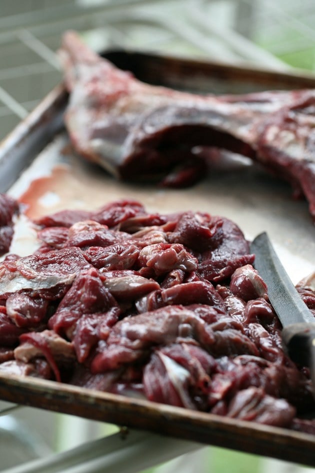 Slicing deer meat into thin strips.