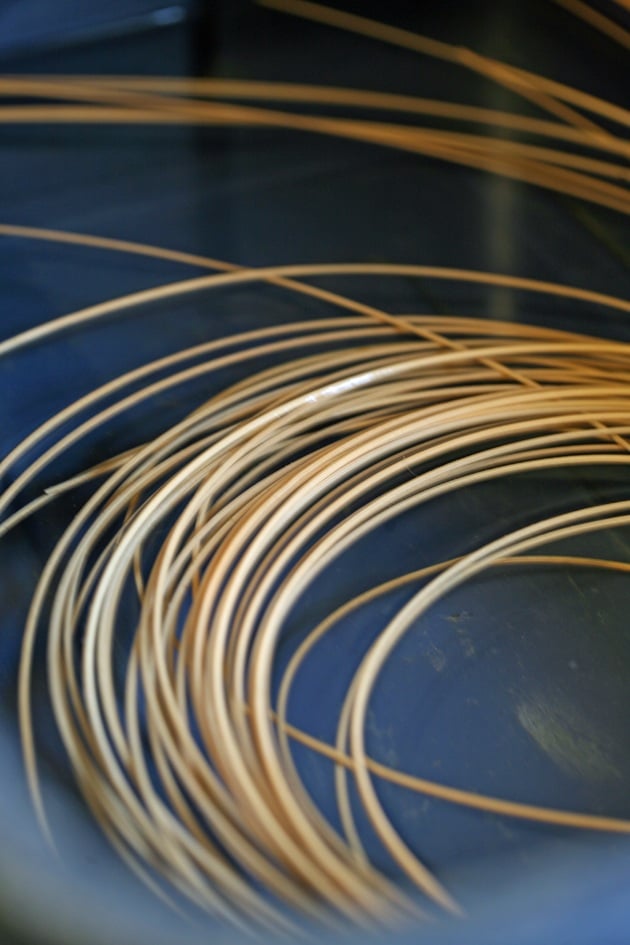 Reeds soaking in water