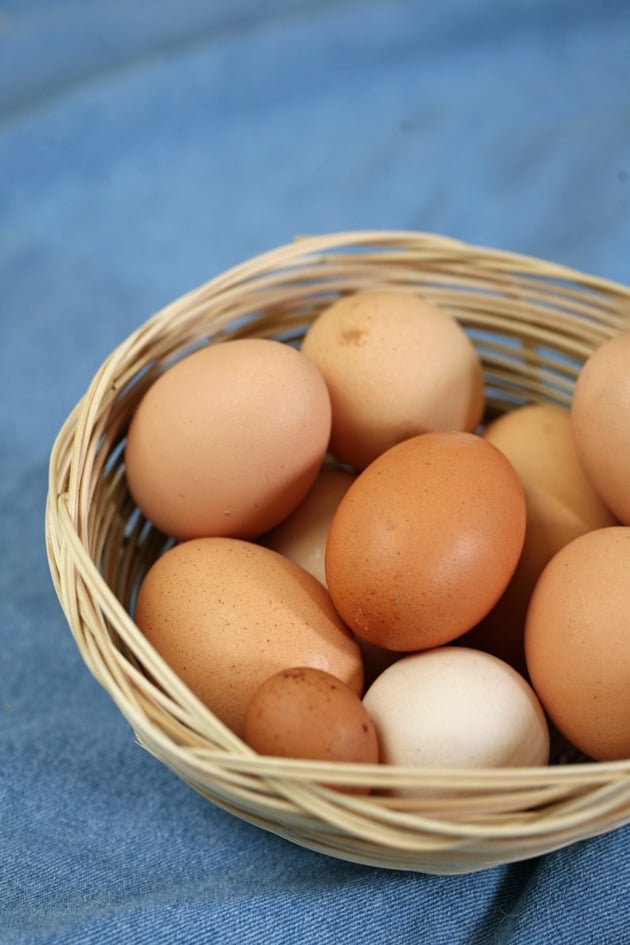 Black Australorp eggs.