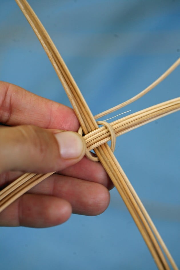 Reed basket making - stating to weave.