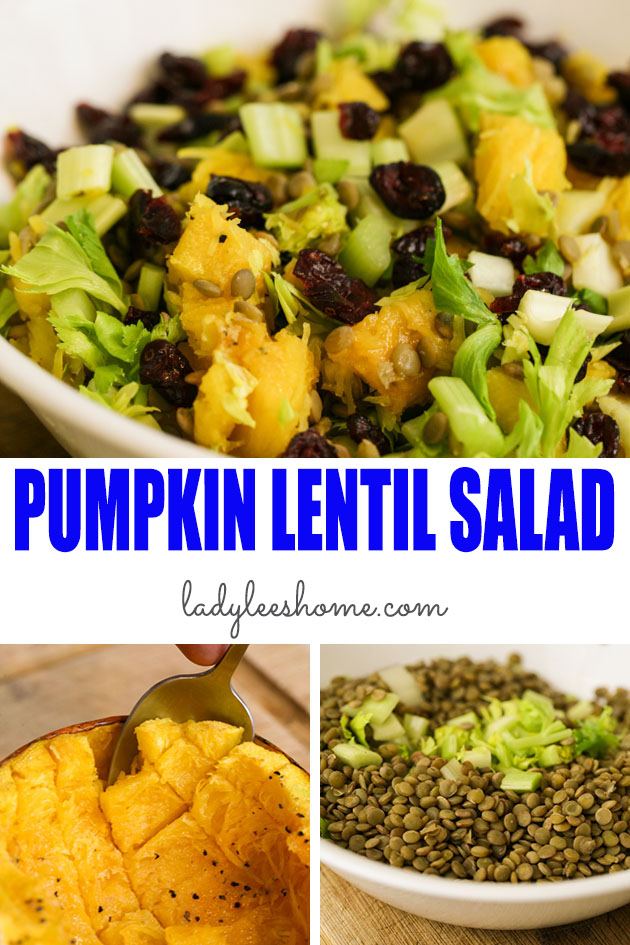 A healthy and filling pumpkin salad with celery, lentils, dry cranberries, and nuts. It can be a great addition to any meal or be a whole meal by itself! #pumpkinsalad #pumpkinandlentilsalad #pumpkinrecipes #pumpkinsaladrecipes 