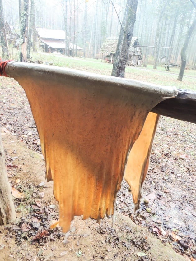 Setting the hide on the wringing pole. 