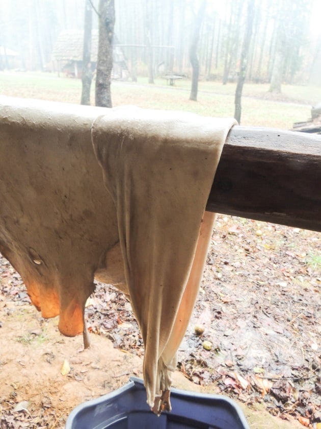 Folding the edges of the hide. 