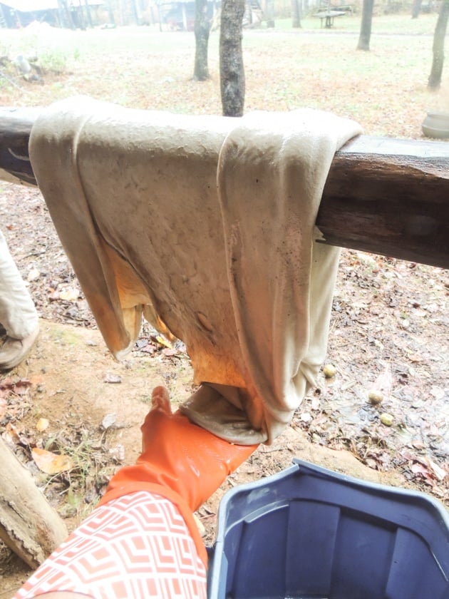 Collecting the bottom of the hide. 