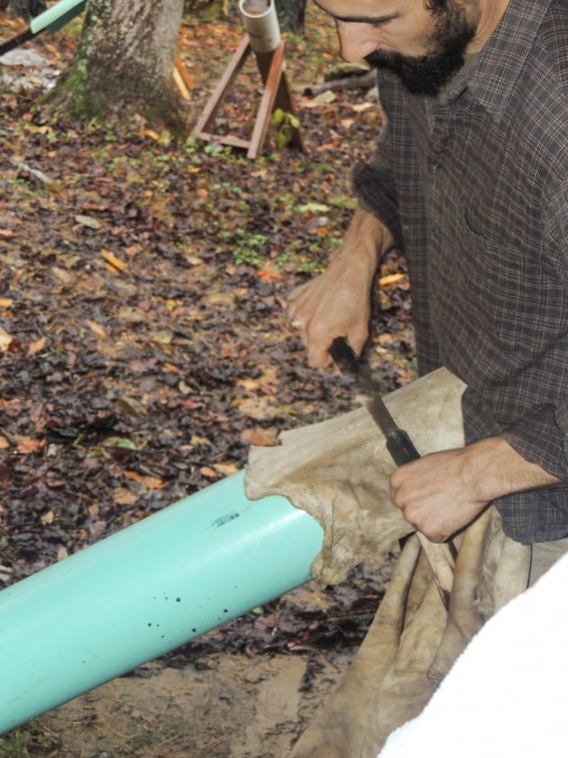 Scraping the hide with the fleshing knife. 