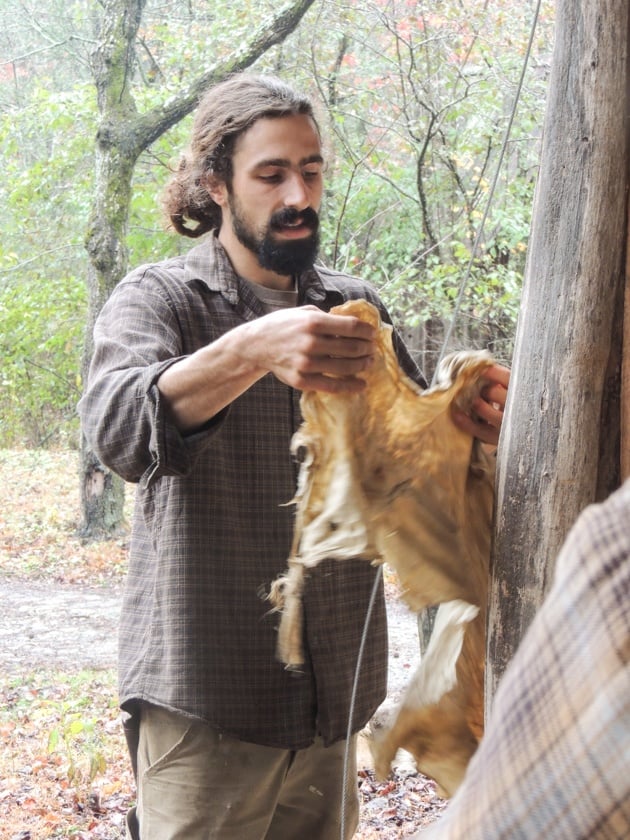 Softening the hide on a wire. 