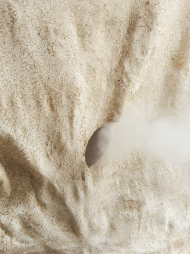 Smoke comes out of the holes in the hide. 