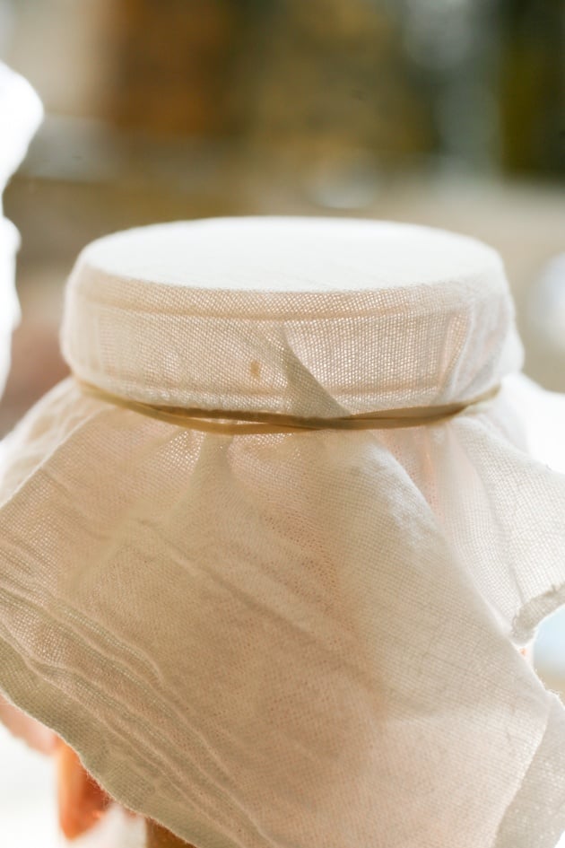 Closing the jar with a flour sack towel. 