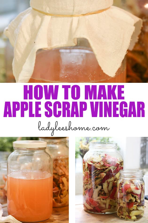 Apple scrap vinegar is simple to make! Use your apple scraps to make this amazing ingredient that you can use a million different ways. 