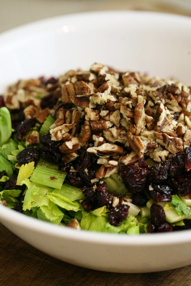 A simple, healthy, and tasty celery salad with pecans and cranberries. 