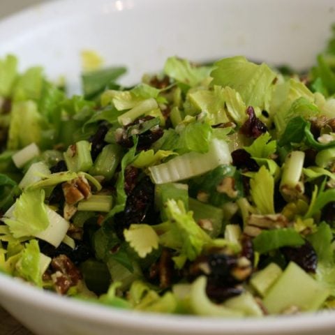 Celery Salad With Cranberries and Pecans