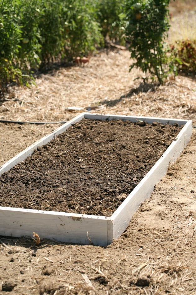 Building raised garden beds. This is a simple way to build garden beds, it cost me $0 and the whole project took just a few hours. #LadyLeesHome, #gardening #garden #raisedgardenbeds #organicgardening 